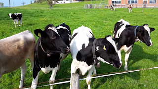 Wunderschöne Schweiz