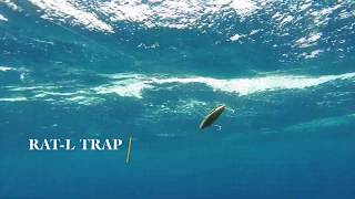 How Lures Swim: Rat-L Trap