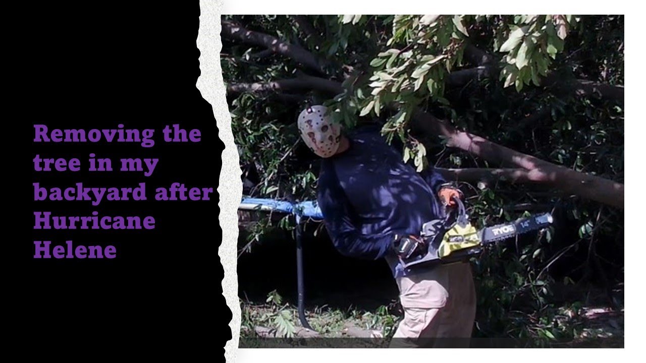 Removing the Tree in my Backyard After Hurricane Helene - YouTube