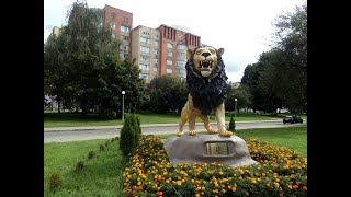 :    . Sculptures of lions in Mogilev.