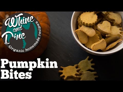 halloween-bites-|-homemade-pumpkin-dog-treats