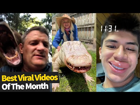 Top 25 BEST Viral Videos Of The Month - July 2021