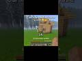 Ahhhh😭 #verity #minecraft #horror #mod #gogilaeditz #viral