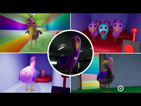 Find Hidden Cyan Opila Bird in 360°/VR! 