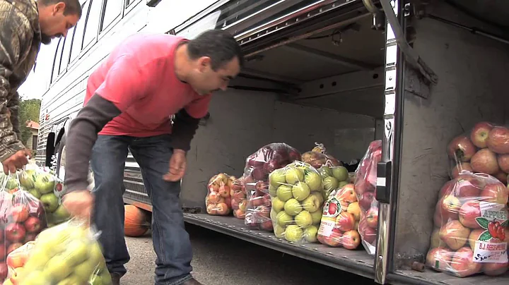 Fresh North Georgia Apples In Season Right Now
