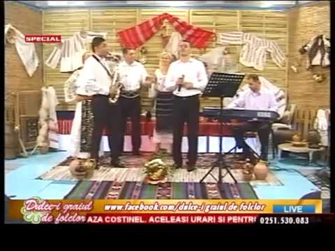 CRISTIAN SFETCU - Iubesc si eu pe lume - 2014 LIVE