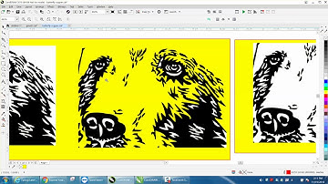 Corel Draw Tips & Tricks Remove white Back Ground Part 4