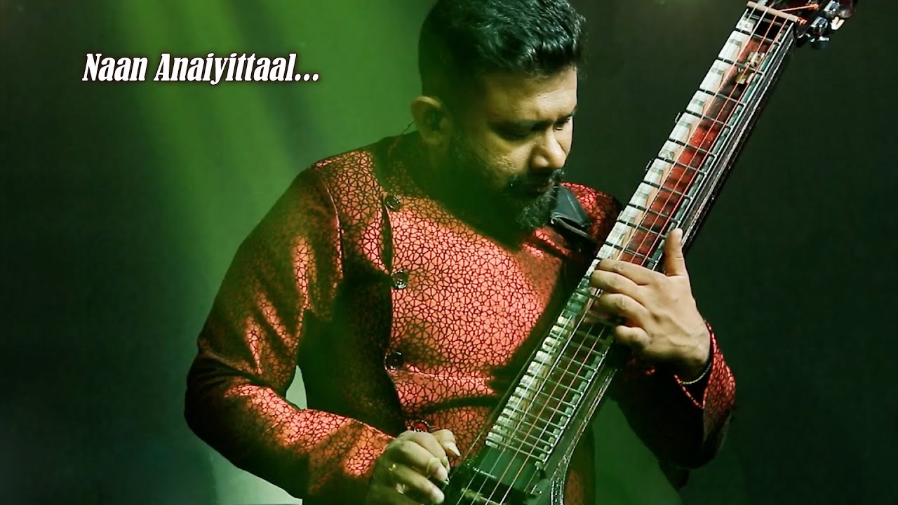 Naan Anaiyittaal instrumental by V7 band  veenacover  wageshan  v7band