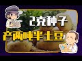 【睡前消息302】种子养土豆，中国杂交技术新突破