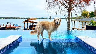 SURPRISING COOPER WITH HIS NEW POOL!