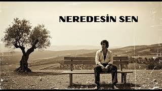 Neredesin Sen Psychedelic Anatolian Rock Al