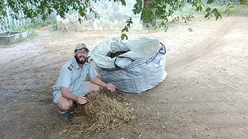 Join our Wildlife Conservation Experience programmes!