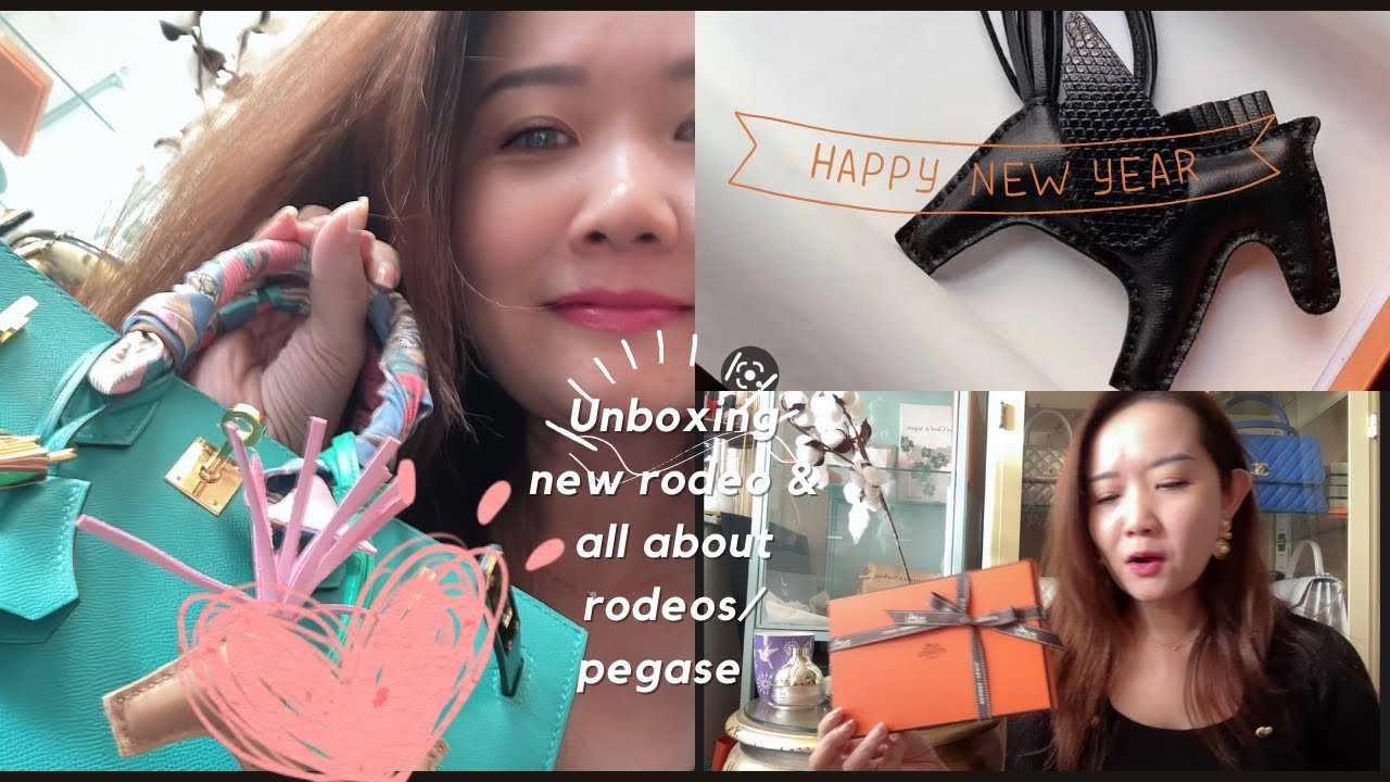 Hermes 2023 unboxing - rodeo Pegase all about Hermes charms