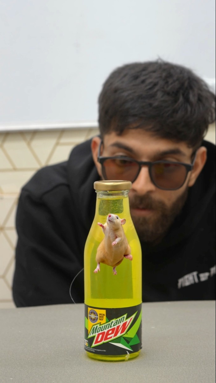 Rat Dissolves in Cold Drink #bluebox