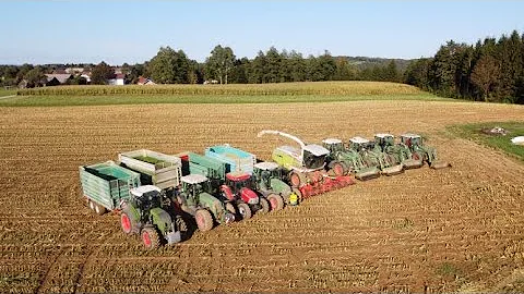 CORN SILAGE ON FARM PUHEK | 2020 | Fendt + McCormi...