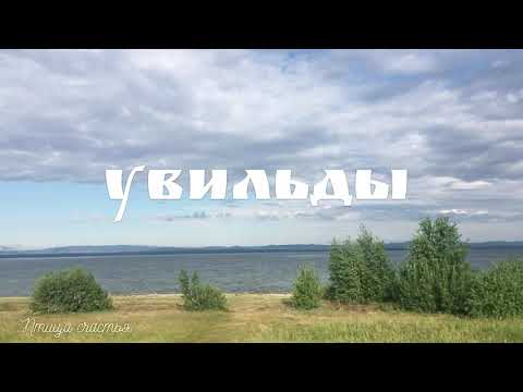 Увильды. Где растет черника?