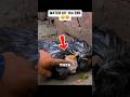 Cat and Bird was SAVED! Wait for the end 🐱🐦