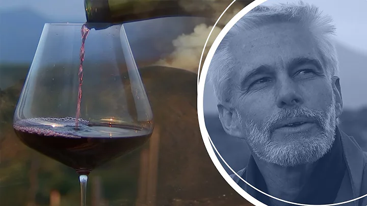 The winemaker growing grapes on the edge of a volc...