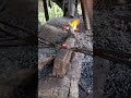 "Forging perfection, one hammer stroke at a time 🔨💎Blacksmith #worldreels #usareels #vairalvidypt
