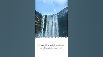 تلاوة في دقيقة | سورة الزخرف | الآيات ٧٢ - ٧٣ | الشيخ ياسر الدوسري