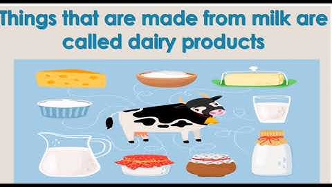 Class-2 Subject-Science Topic- Revision Ch-4(Animals-our friends)  Varsha Desai