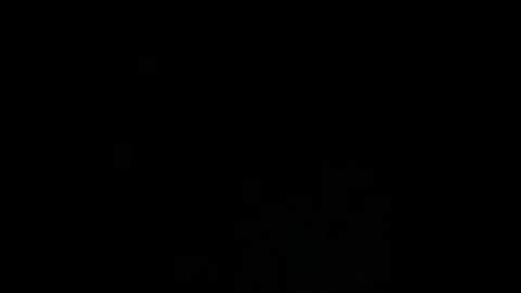 The Randomness of Life