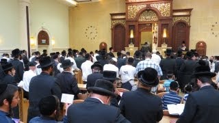 עצרת ברסלבית לרפואת מרן הרב עובדיה יוסף