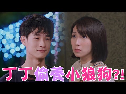 機智校園生活 | EP24精彩回顧 丁文娜的秘密 偷養男朋友？ | TVBS 42台