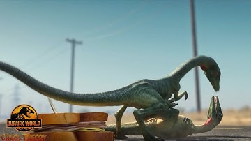 Compsognathus feud for food! Jurassic World Chaos Theory Season 1 Clip!