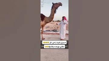 مسوي فيها راعي ابل 