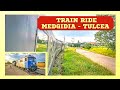 [Passenger View] Calatorie Feroviara / Train Ride Medgidia - Tulcea | Glasul Rotilor de Tren | R8655
