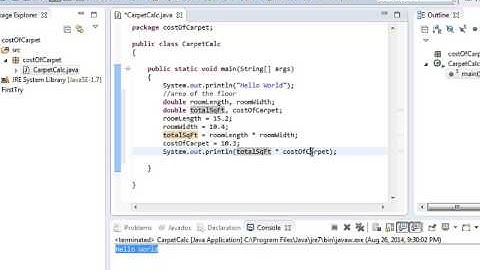 Basics of Variables and Calculations