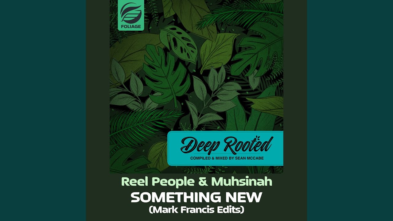 Something New (Mark Francis Radio Edit)