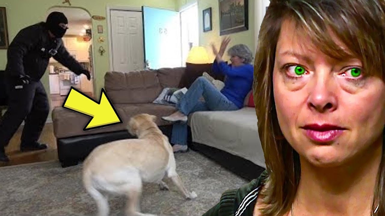 This Woman Thought Her Dog Would Protect Her, But What Her Loyal