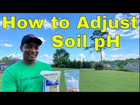 [IMPROVING SOIL QUALITY]  - How to Adjust Soil pH for GREEN GRASS