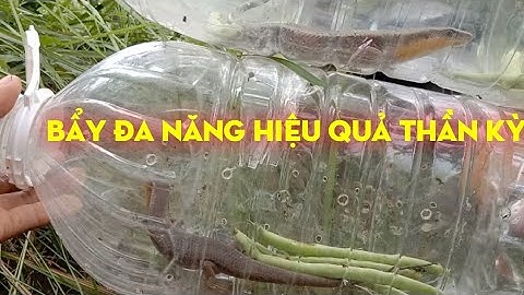 CHIA SẺ BẨY RẮN MỐI BẰNG BẨY ĐA NĂNG RẤT HIỆU QUẢ#245