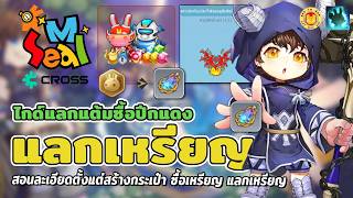 Seal M on Cross | ไกด์แนะนำเหรียญ Shiltz วิธีซื้อเหรียญแลกปีกแดง หมัดทอง วิธีสร้างกระเป๋า Swapเหรียญ