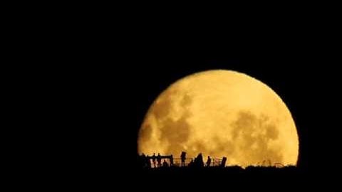 Full Moon Silhouettes SD