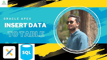Digital marketing Territory# insert data to table#oracle apex#SQL