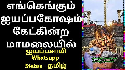 Engengum Ayyappa Gosham Ayyappa Samy Song | Ayyappa Samy Whatsapp Status Tamil | @Vishnuharan