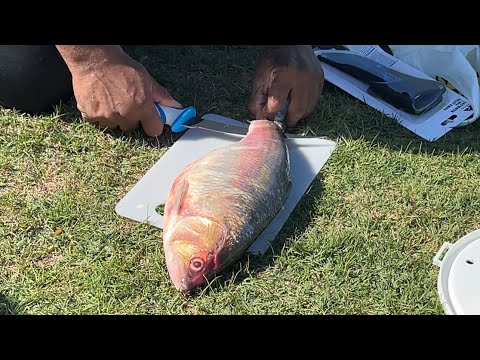 BEST BAIT TO USE FOR CATFISHING