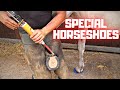 Special horseshoes for leg problems | Friesian Horses