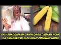 GA HADADDAN MAGANIN QARA GIRMAN NONO DA CIKAKKEN BAYANI AKAN ZUBEWAR NONON INSHA ALLAHU 