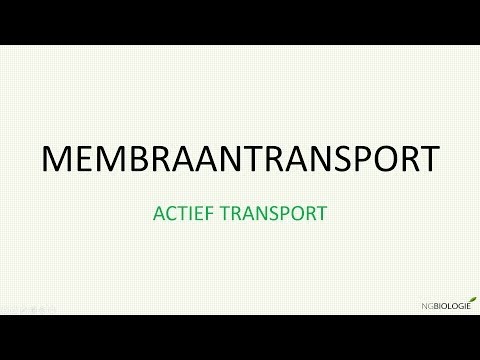 Actief transport
