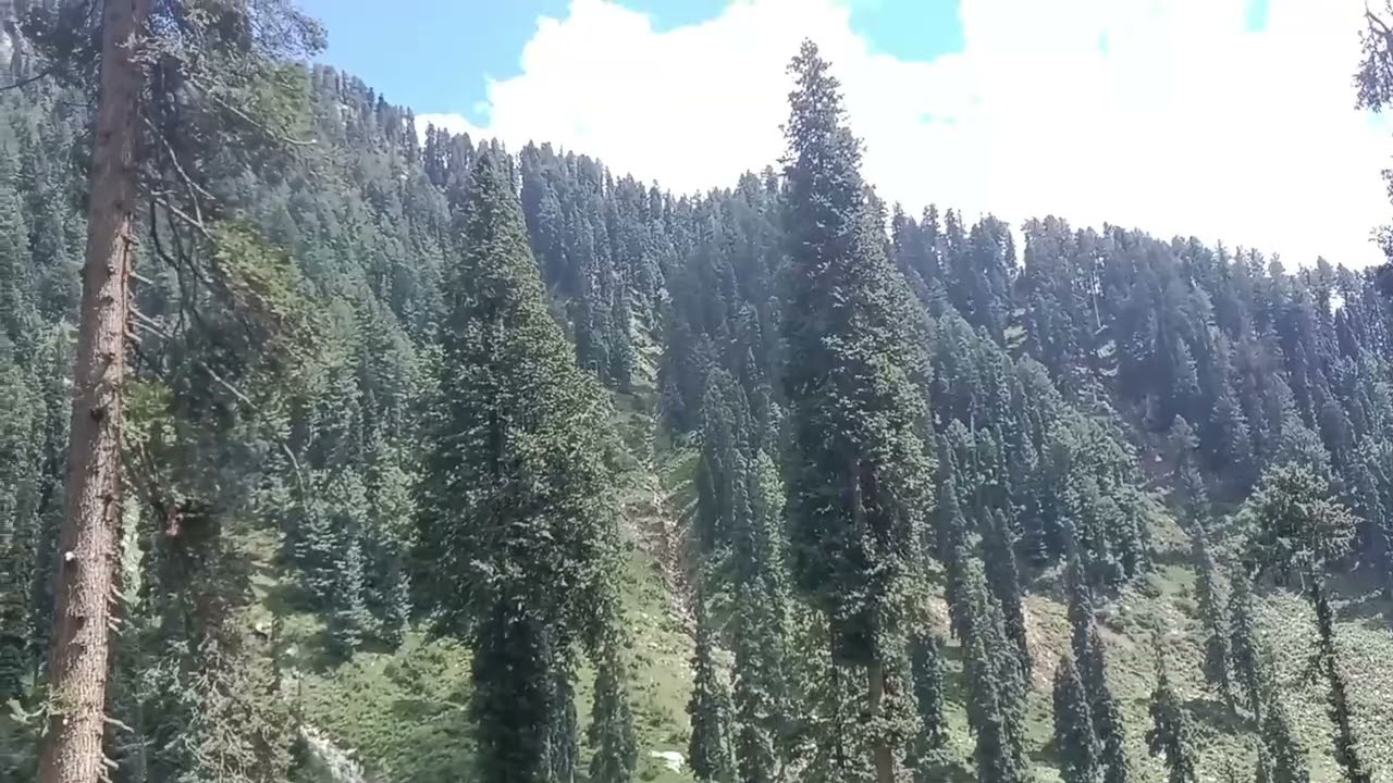 Mountain Travel vibes 