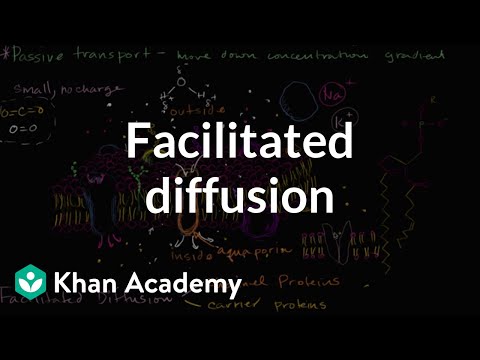 Facilitated diffusion | Membranes and transport | Biology | Khan Academy