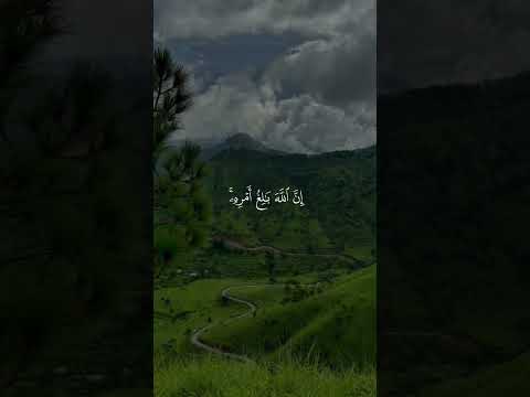 سورة الطلاق القارئ احمد العجمي