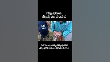 Máy cắt lúa đang chạy thì gặp con rắn Kinh Khủng khiếp