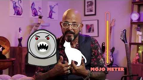 WHY I changed my mind - The Litter-Robot actually IS a GAME CHANGER