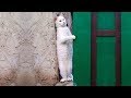 Essayer De Ne Pas Rire - Vidéos Drôles de Chats et de Chiens #54